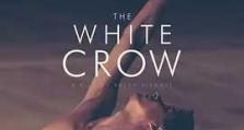 2018年《白乌鸦 The White Crow》_1080PBT种子下载_《白乌鸦 ThWhitCrow》在线迅雷下载