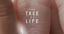 2011年《生命之树 The Tree of Life》_1080PBT种子下载_《生命之树hereof Life》在线迅雷下载