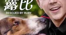 2022年《义犬救主 Rescued by Ruby》_1080PBT种子下载_《义犬救主escued u》在线迅雷下载