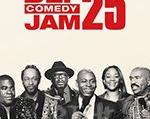 2017年《Def Comedy Jam 25周年》_1080PBT种子下载_《Def Comedy Jam 25周年》在线迅雷下载