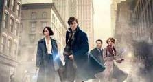 2016年《神奇动物在哪里 Fantastic Beasts and Where to Find Them》_1080PBT种子下载_《神奇动物在哪里tic Bes aWre toiTm》在线迅雷下载