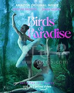 《天堂鸟 Birds of Paradise》