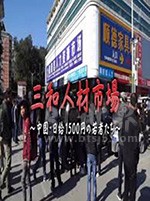 《三和人才市场 中国日结1500日元的年轻人们》