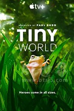 《小小世界 第二季 Tiny World Season 2》