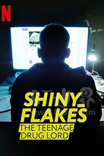 《暗网青年毒枭 Shiny_Flakes: The Teenage Drug Lord》