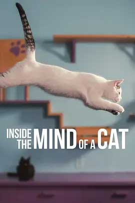 《喵星人的奇思妙想 Inside the Mind of a Cat》