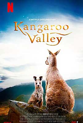 《袋鼠谷 Kangaroo Valley》