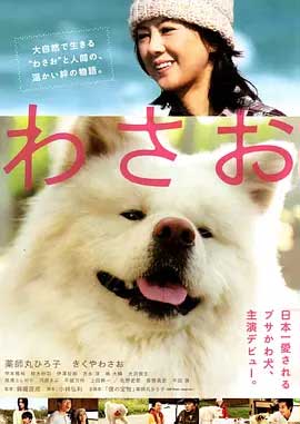 《秋田犬蓬夫》