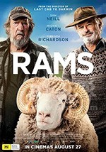 《公羊 Rams》